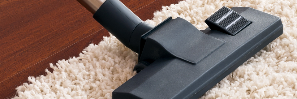 carpet cleaning services